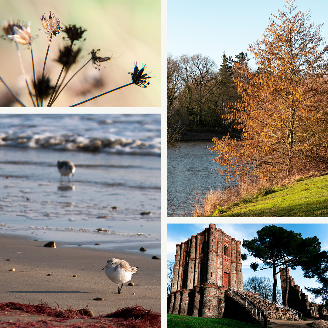 Bertrand Alexandre – FZ2000