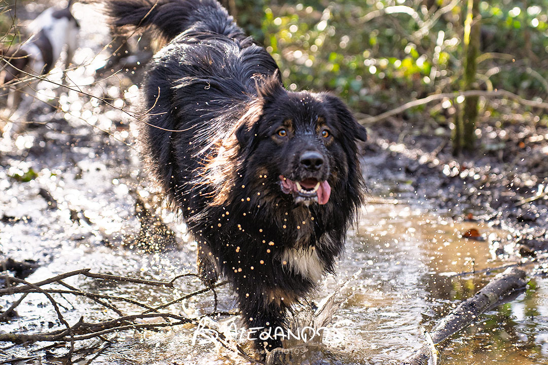 Séance photo particuliers