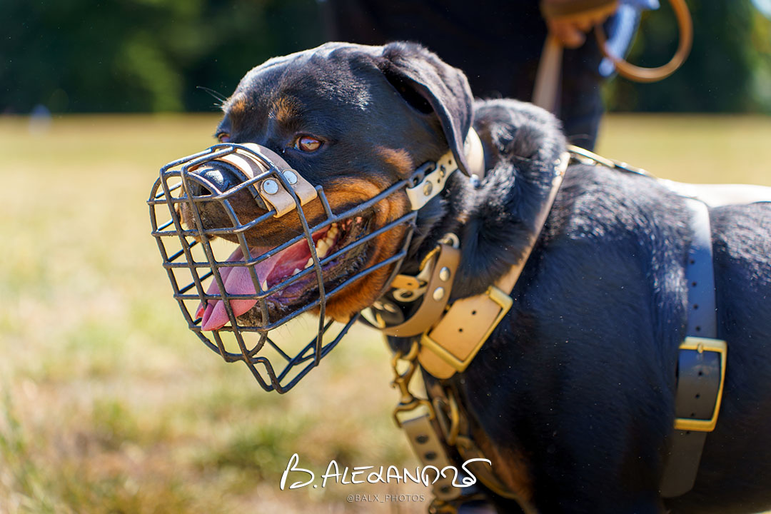 Séance photo professionnels