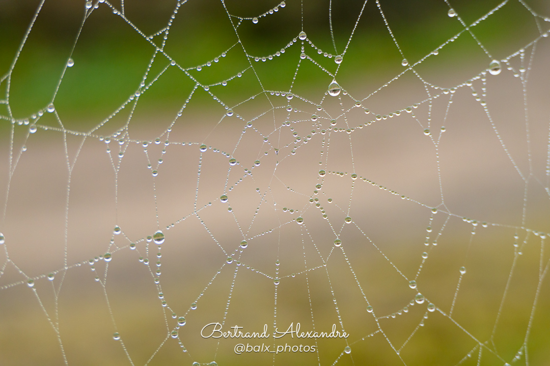 Photo 002 | Bertrand ALEXANDRE – Instants volés
