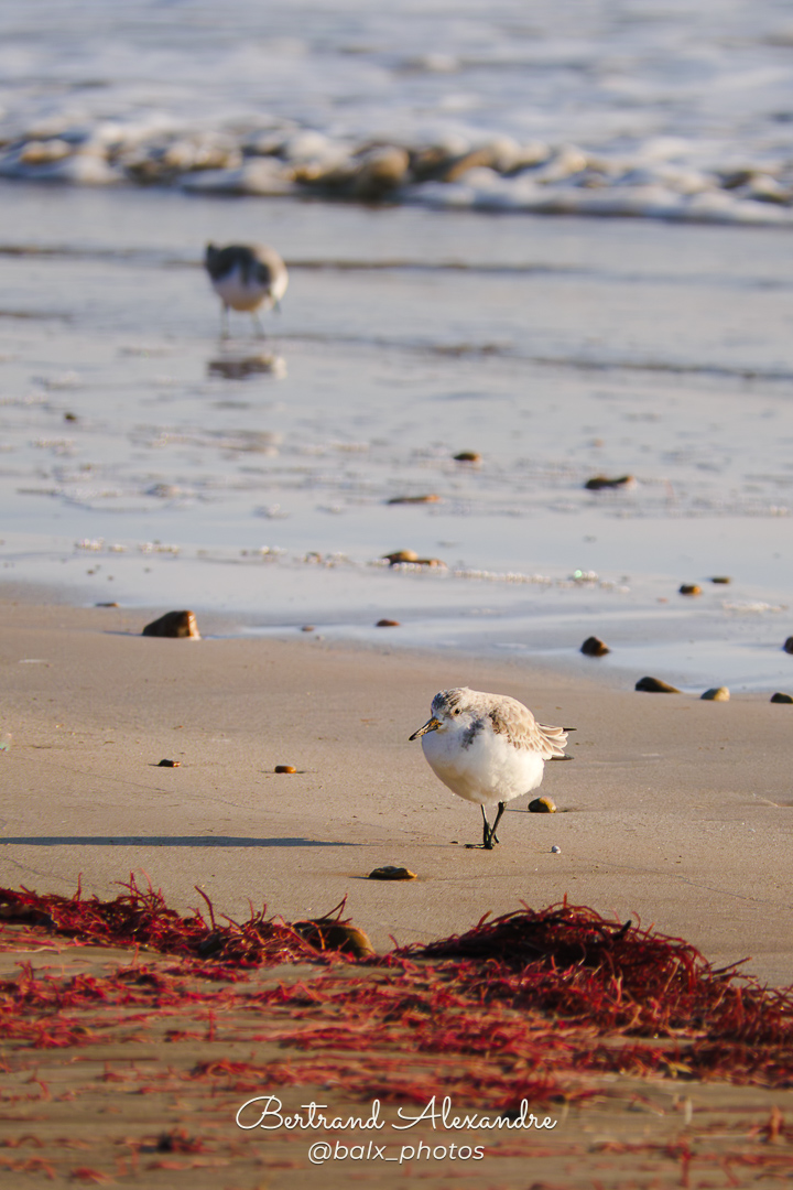 Photo 004 | Bertrand ALEXANDRE – Instants volés