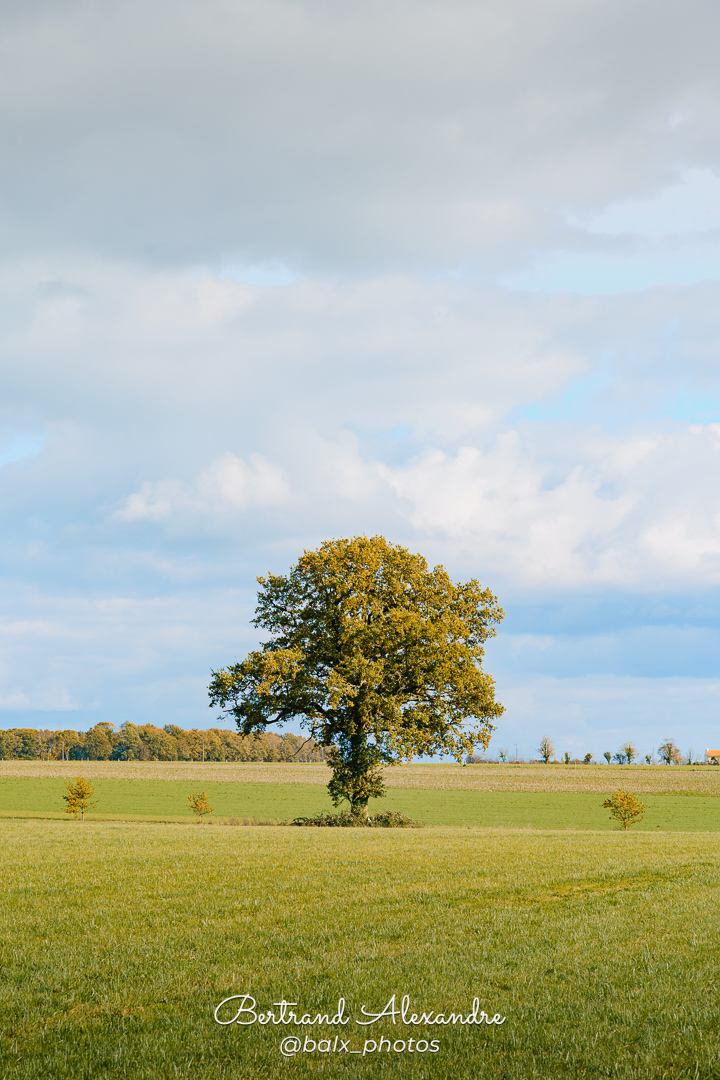 Photo 018 | Bertrand ALEXANDRE – Instants volés