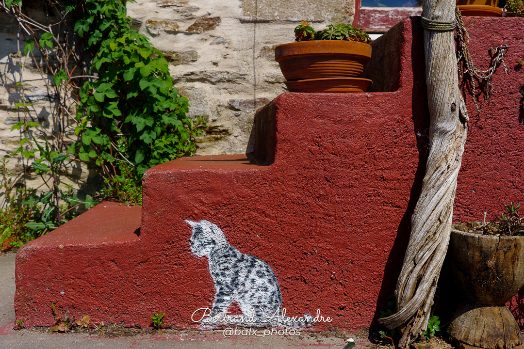 Photo 023 | Bertrand ALEXANDRE – Instants volés