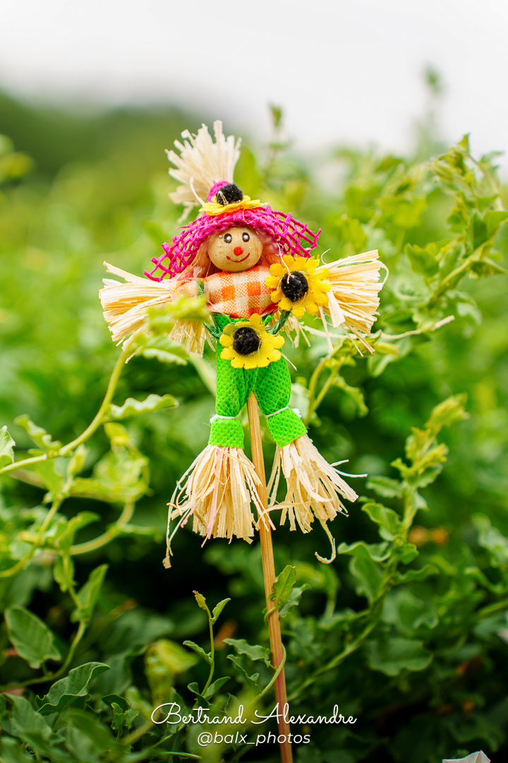 Photo 025 | Bertrand ALEXANDRE – Instants volés