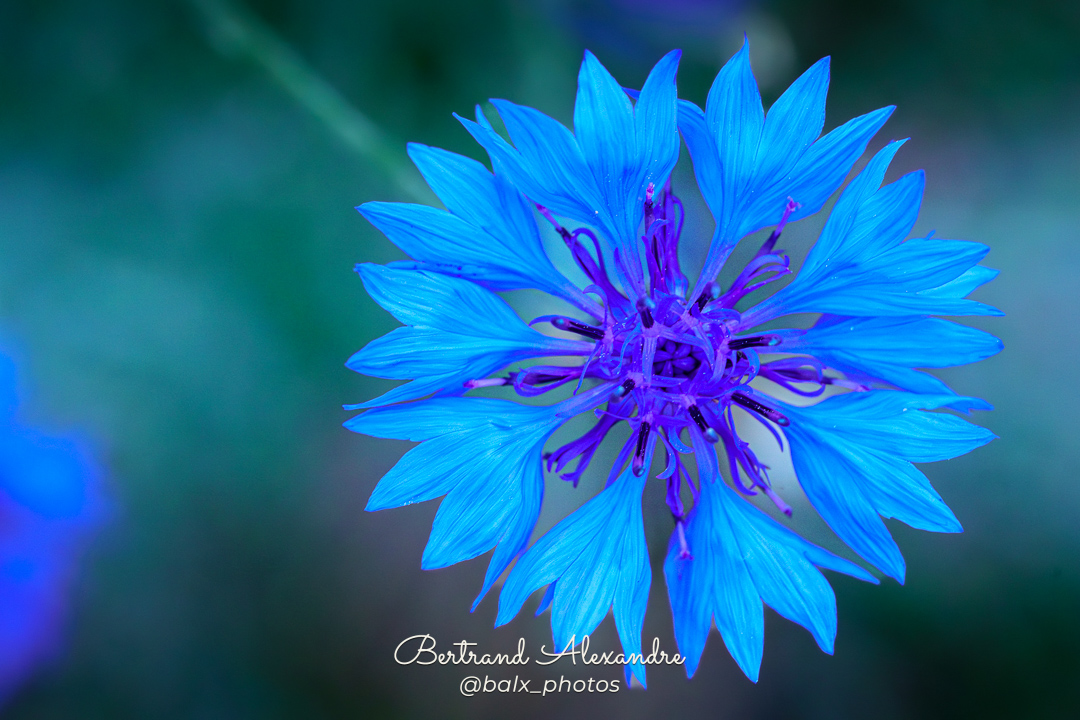 Photo 030 | Bertrand ALEXANDRE – Instants volés