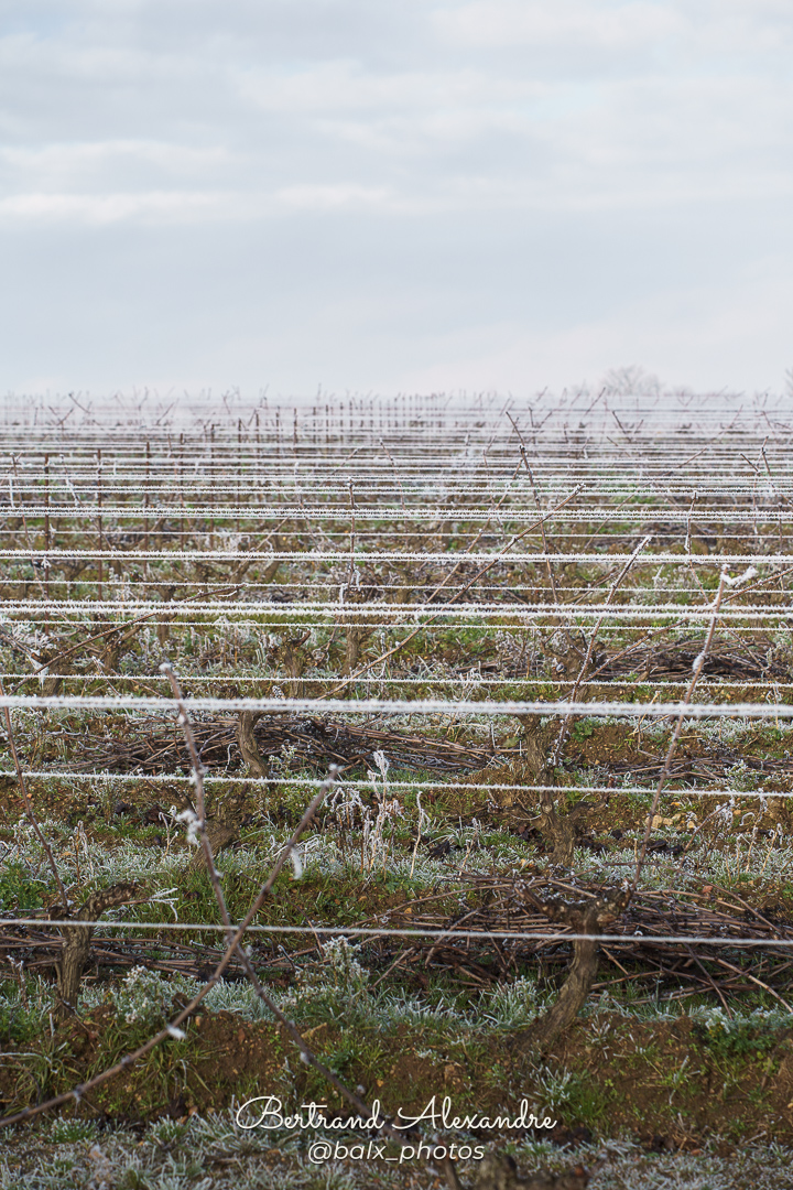 Photo 047 | Bertrand ALEXANDRE – Instants volés
