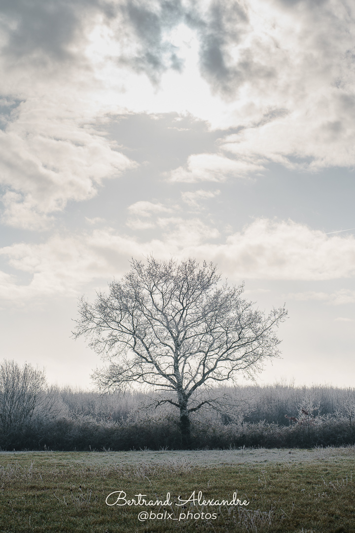 Photo 049 | Bertrand ALEXANDRE – Instants volés