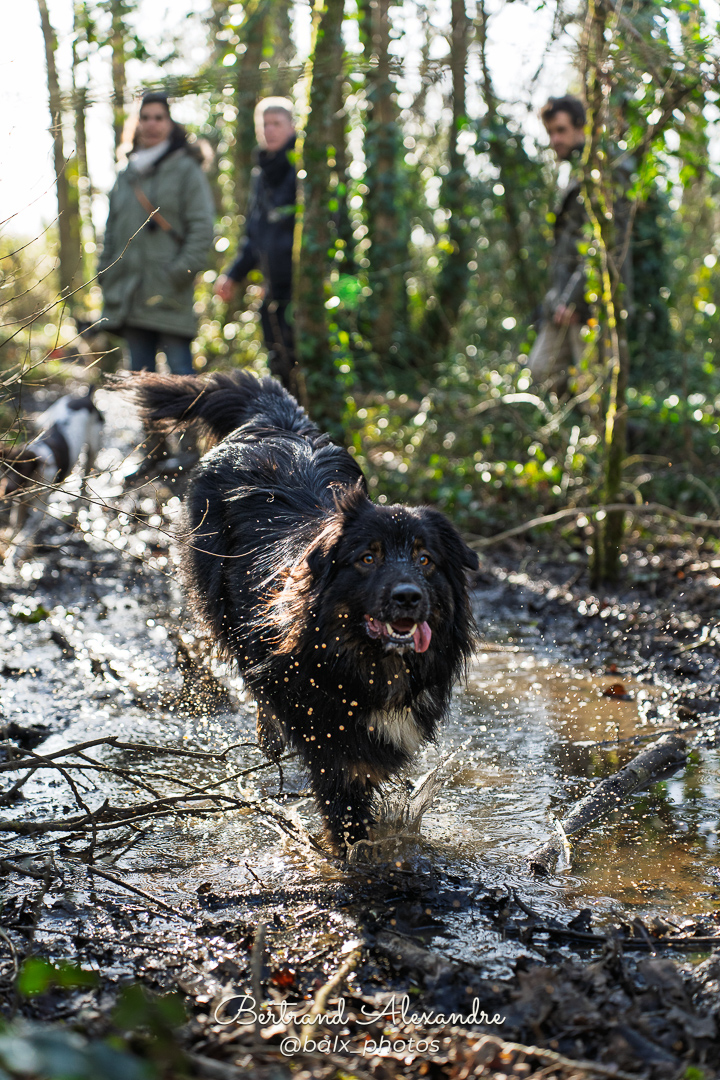Photo 005 | Bertrand ALEXANDRE – Compagnons