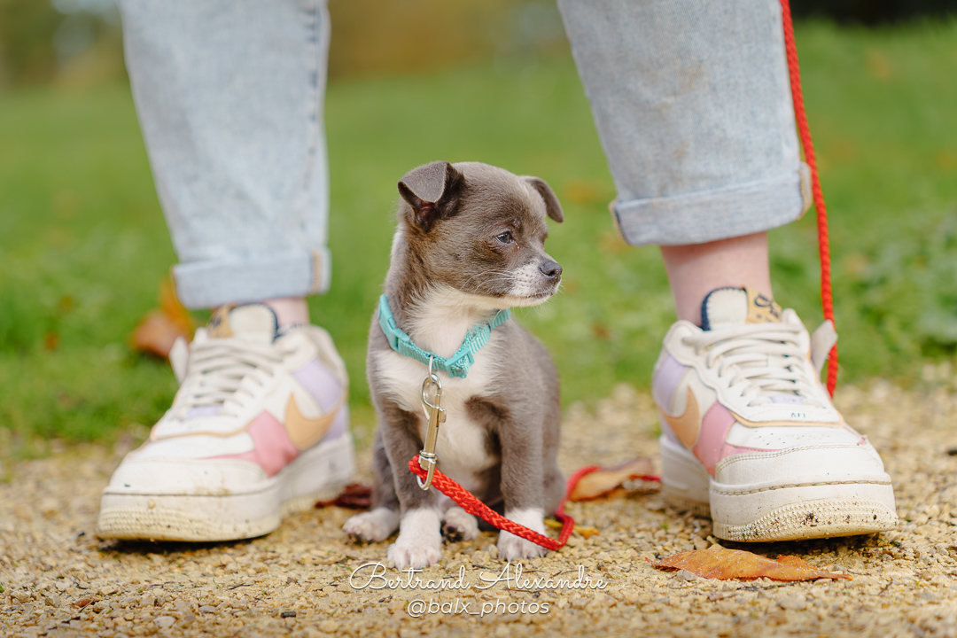 Photo 006 | Bertrand ALEXANDRE – Compagnons