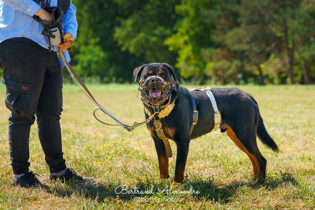 Photo 032 | Bertrand ALEXANDRE – Compagnons
